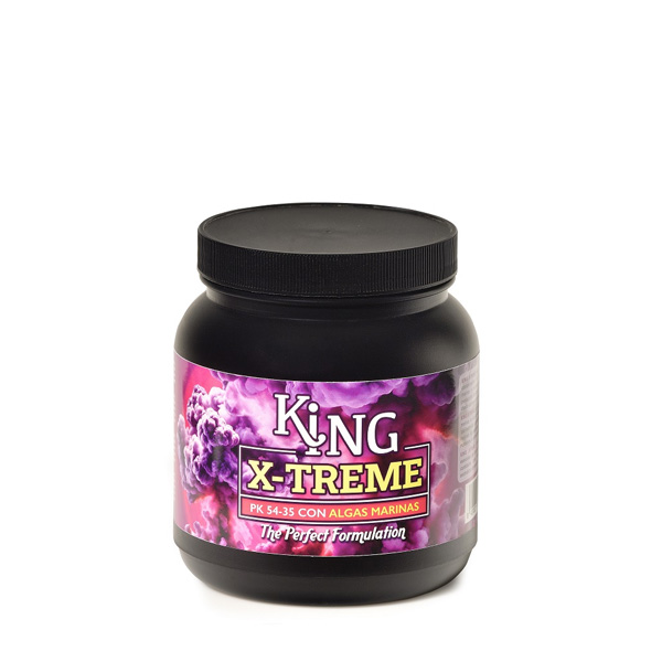 King X -TREME 300 Gr. Trabe King X -TREME 300 Gr. Trabe