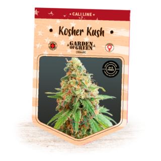 Kosher Kush  1 u. fem. Garden of Green Seeds