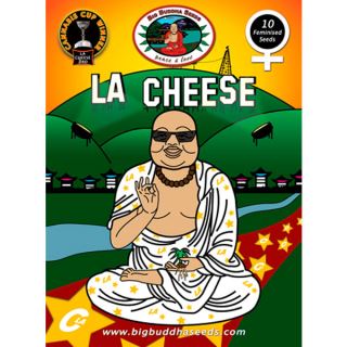 LAC10 - LA Cheese 10 u. fem. Big Buddha Seeds