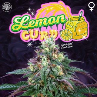 19374 - Lemon Curd 6 u. fem Perfect Tree