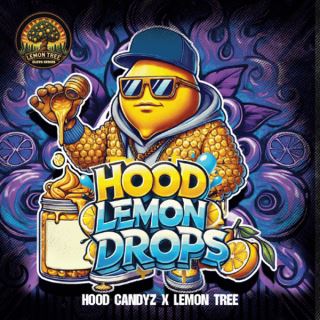 Lemon Hood Drops 3 ud. fem Elev8 Seeds