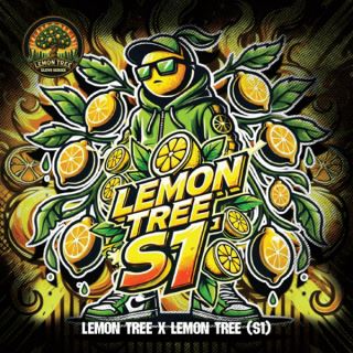 Lemon Tree S1 - 6 ud. fem Elev8 Seeds