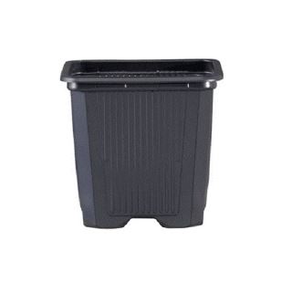 6437 - Maceta Cuadrada Negra  9 x  9 x 10 cm. - 0.6 lt. (Pack 50 uds)