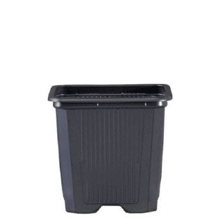 Maceta Cuadrada Negra / Gris  9 x 9 x 10 cm. 0.6 lt. - 50 ud.