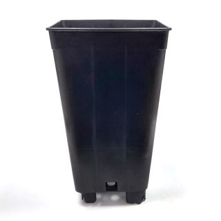 13450 - Maceta cuadrada Negra 12 x 12 x 20 cm. 2 ltr. 50 ud.