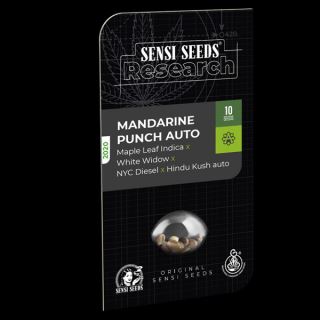 Mandarine Punch  5 u. fem. Sensi Seeds Research
