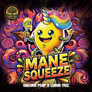 Mane Squeeze 3 ud. fem Elev8 Seeds