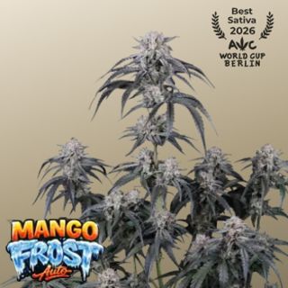 27471 - Mango Frost Auto  10 u. fem. FastBuds Seeds