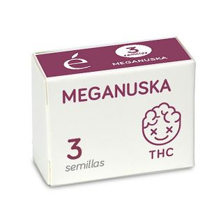 Meganuska 3 u. fem. Elite Seeds