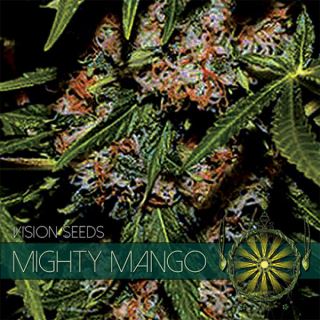 Mighty Mango 3 u. fem. Vision Seeds