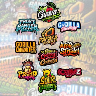 26317 - Mix Pack Auto  5 u. fem. FastBuds Seeds