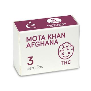 Mota Khan Afgana 3 u. fem. Elite Seeds
