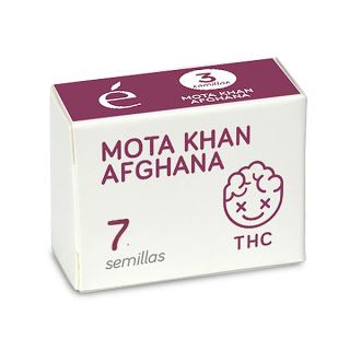 MK7ES - Mota Khan Afghana 7 u. fem. Elite Seeds