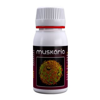5219 - Muskaria 60 ml. Agrobacterias