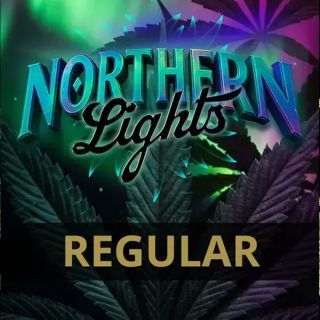 27082 - Northern Lights  5 u. reg. Barney's