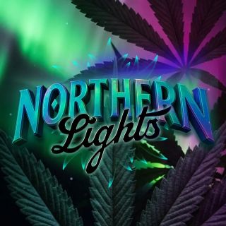 Northern Lights 10 u. fem. Barney's