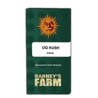 OG Kush 10 u. fem. Barney's