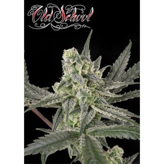 Old School  1 u. fem. Ripper Seeds