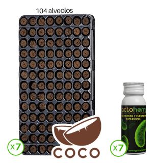 Pack Plugin Pro 104 Coco + Bactohemp