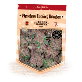 Phantom Cookie Domina  1 u. fem. Garden of Green Seeds