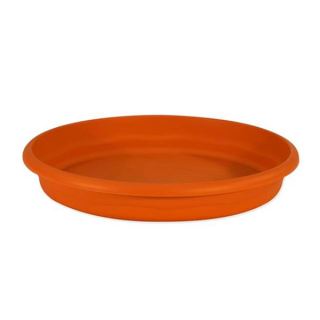 11496 - Plato Redondo  25 cm. Economic
