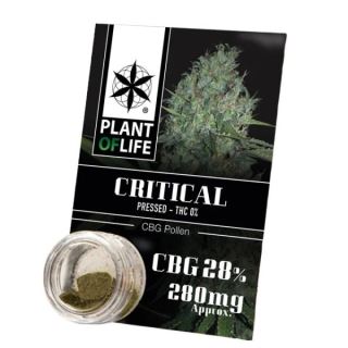 Polen CBG 28% Critical Plant of Life