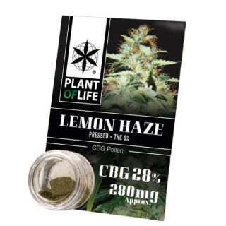 Polen CBG 28% Lemon Haze  Plant of Life