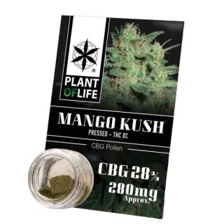 Polen CBG 28% Mango Kush Plant of Life