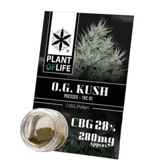 17750 - Polen CBG 28% Og Kush Plant of Life