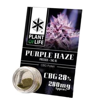 Polen CBG 28% Purple Haze Plant of Life