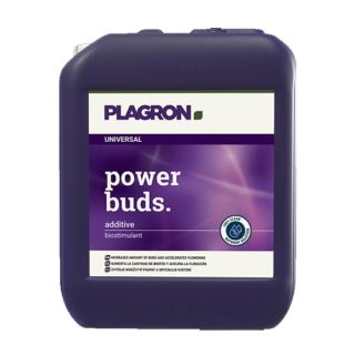 Power Buds    10 Lt. Plagron