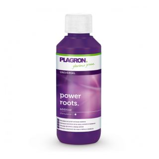 6077 - Power Roots   100 ml. Plagron