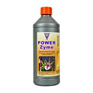 Powerzyme  1 lt. Hesi