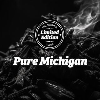 21404 - Pure Michigan 5 u fem Ed.Especial Philosopher