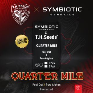 Quarter Mile 2 u. fem. T.H. Seeds X Symbiotic Genetics