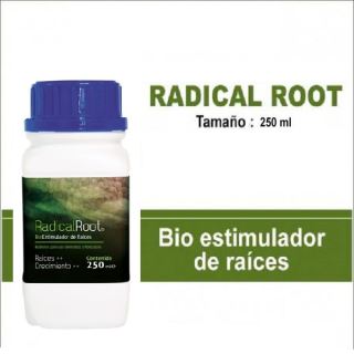 Radical Root   250 ml. Trabe