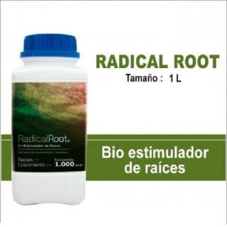 RR1 - Radical Root 1 lt. Trabe