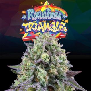 21195 - Rainbow Triangle 6 u. fem Perfect Tree