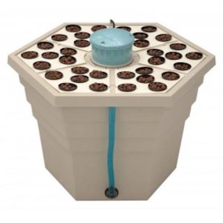 RF212 - Rainforest 2 2" 220 v General Hydroponics  48/72 h.