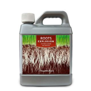 Roots Explosion  1 lt. Kayasolutions