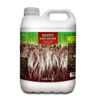 REK5 - Roots Explosion  5 lt. Kayasolutions