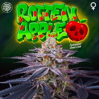 26175 - Rotten Apple 3+1 u. fem Perfect Tree