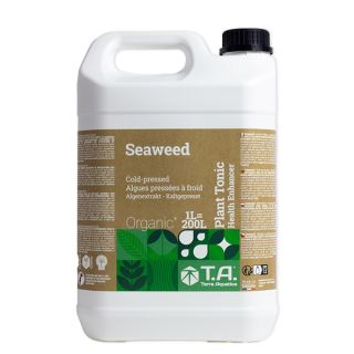 9069A - Seaweed 5 Lt. Terra Aquatica