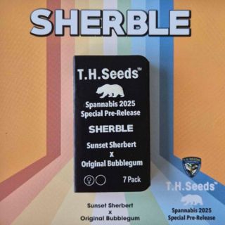 24796 - Sherble - Sunset Sherbert X Original Bubblegum 7 u. fem. T.H. Seeds
