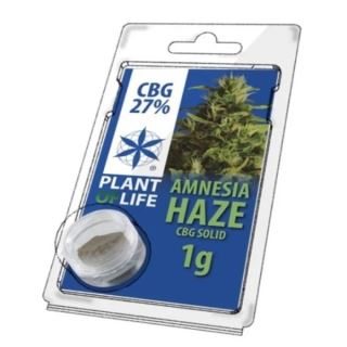 Solid 27% CBG Amnesia Haze 1 gr. Plant of Life