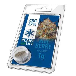 Solid 27% CBG Blueberry 1 gr. Plant of Life