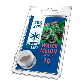 17813 - Solid 27% CBG Watermelon 1 gr. Plant of Life