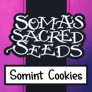 7764 - Somint Cookies  3 u. fem. Soma Seeds