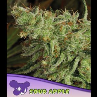 Sour Apple  3 u. fem Anesia