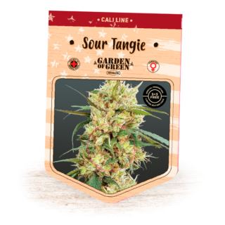 13698 - Sour Tangie  1 u. fem. Garden of Green Seeds